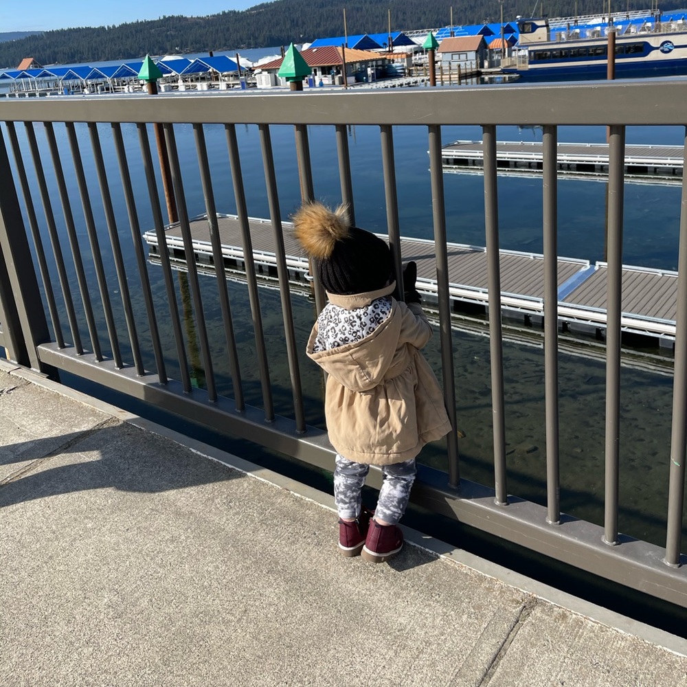 Tahari toddler coat